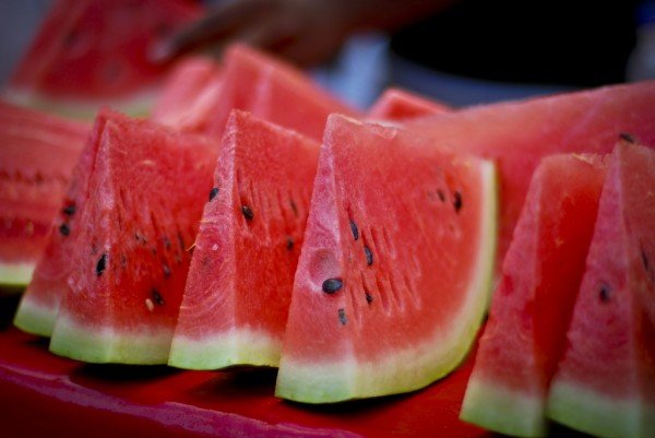 sandia-portada