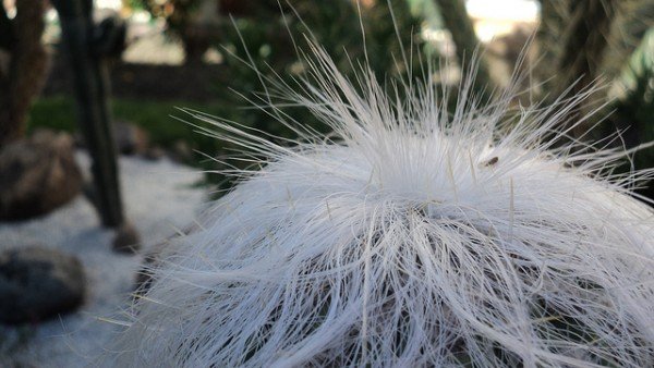 5005976179_0e68d06941_z